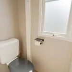 Papillon - Premium * بوالون