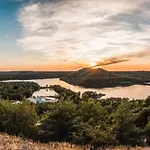 Papillon - Premium *