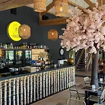 Papillon - Premium *