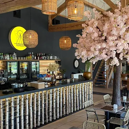 Papillon - Premium *