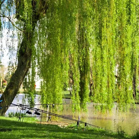 Papillon - Premium Chalet Bouillon